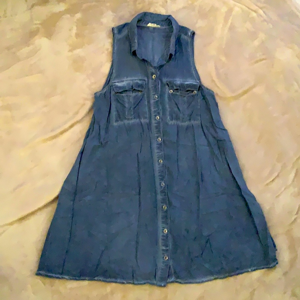 Nu Label Sleeveless Denim Dress (Size Small)